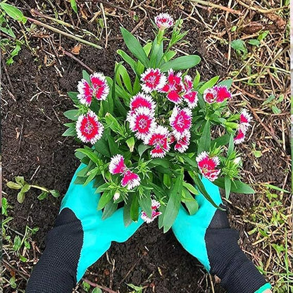 The Claw Gardening Gloves - For Planting